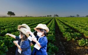 Proyek Tembakau Menjadi Bagian Program Aku Sayang Bumi Proyek Tembakau Menjadi Bagian Program Aku Sayang Bumi