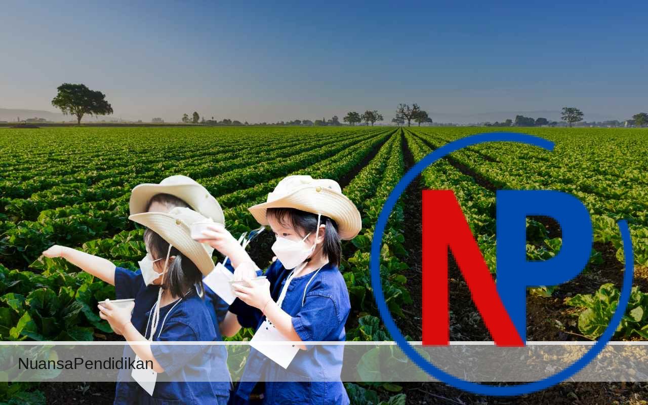 Proyek Tembakau Menjadi Bagian Program Aku Sayang Bumi Proyek Tembakau Menjadi Bagian Program Aku Sayang Bumi