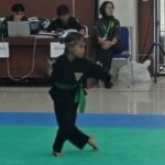 Pasanggiri Pencak Silat Ciamis: 70 Paguron Beradu Jurus